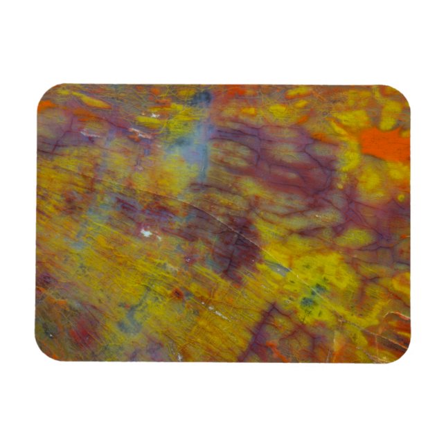 Petrified Wood Magnet (Horizontal)