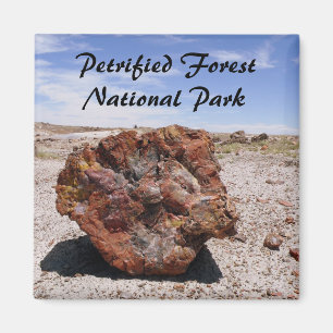 Petrified wood magnet