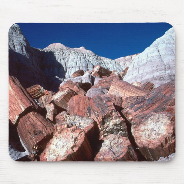 Petrified Wood Mousepad (Front)