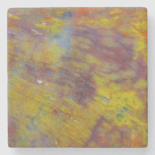 Petrified Wood Stone Coaster