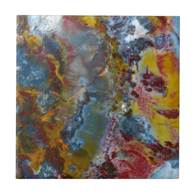 Petrified wood texture tile (Front)