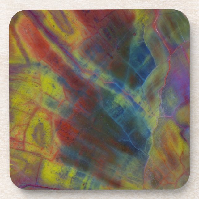 Petrified Wood Vertical Coaster (Front)