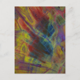 Petrified Wood Vertical Postcard