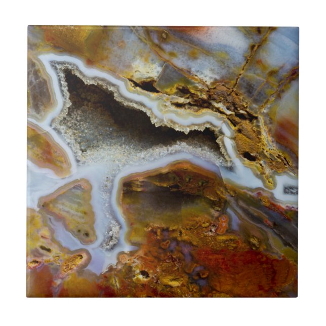 Petrified Wood With Crystals Tile (Front)