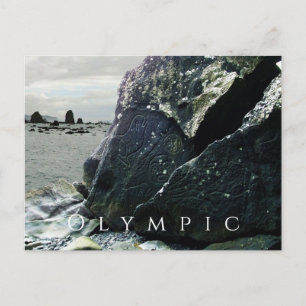 Petroglyphs, Olympic National Park, Washington Postcard