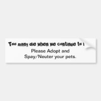 Pets Adopt Spay Neuter Animal Shelters Quote
