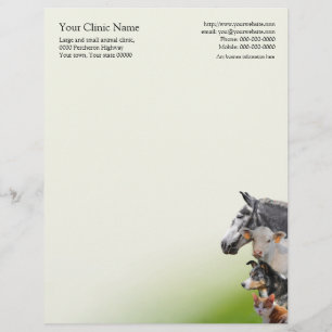 Pets and farm animals vet customized letterhead