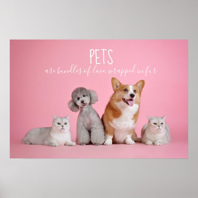 Pets Are Bundles Of Love // Cats And Dogs Photo Poster (Front)