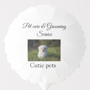 Pets care grooming service add name address text balloon