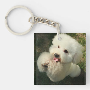 Pets, Dog, Poodle Key Ring