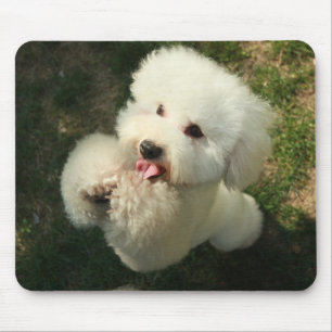 Pets, Dog, Poodle Mouse Mat
