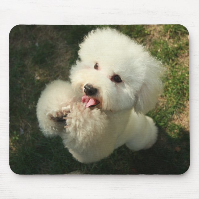 Pets, Dog, Poodle Mouse Mat (Front)
