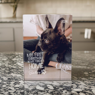 Pet's First Christmas Forever Home Modern Grunge Photo Block