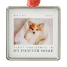 Pet's First Christmas In Forever Home Modern Chic