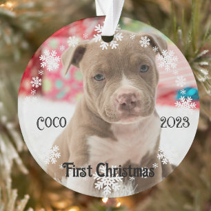 Pet's First Christmas Keepsake Acrylic Ornament