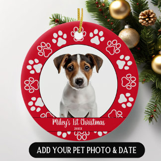 Pet's First Christmas Paw Print Ornament