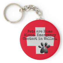 Pets Home Alone ICE Contact
