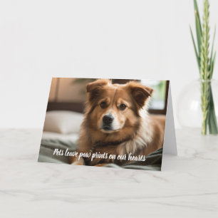 Pets leave paw prints on our heart   holiday card