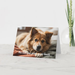 Pets leave paw prints on our heart v3   holiday card