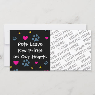 Pets Leave Paw Prints on Our Hearts