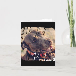 Pets Modern Simple Cool Nge Name And Photo T Shirt Card