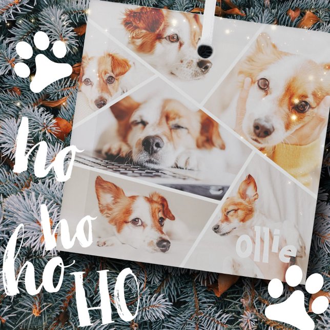 Pets Modern Simple Custom 6 Images Collage Photo Glass Tree Decoration (Creator Uploaded)