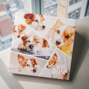 Pets Modern Simple Custom 6 Images Collage Photo Tile
