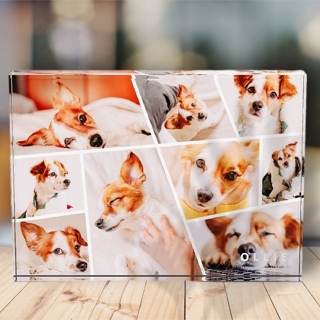 Pets Modern Simple Custom 9 Images Collage Photo Block (Creator Uploaded)