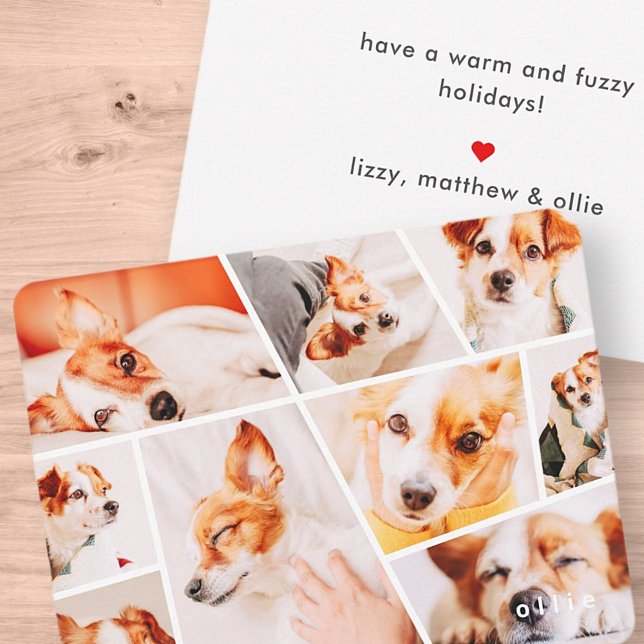 Pets Modern Simple Custom 9 Images Collage Photo Card (Creator Uploaded)
