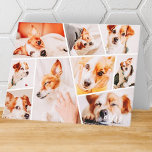 Pets Modern Simple Custom 9 Images Collage Photo Note Card<br><div class="desc">Add nine (9) custom photos of your pet and pet's name. Add your photos and if needed,  unmask the group of photo and frame,  adjust the image against the frame,  then click mask.</div>