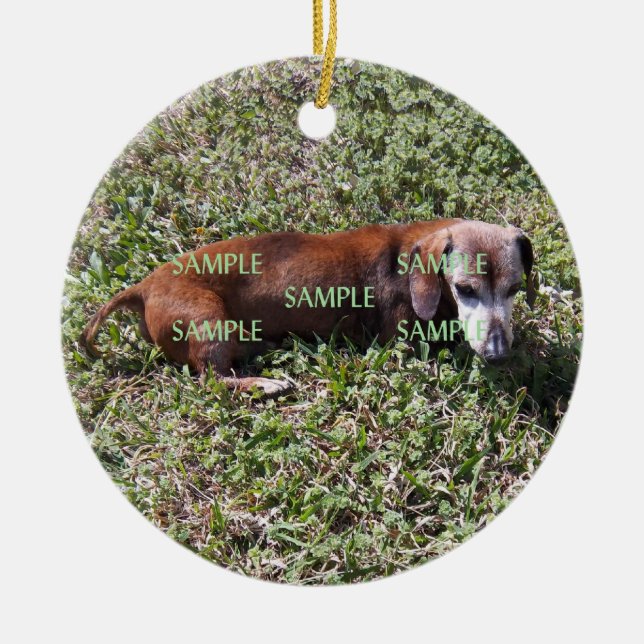 Pets Photo Memorial Ornament (Front)
