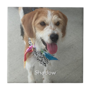 Pet's Photo or Child's Photo & Name Tile