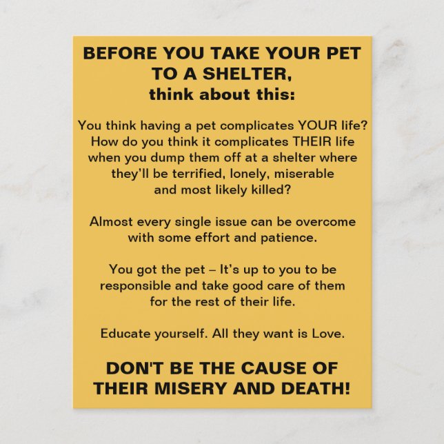 Pets Shelter Info Flyer (Front)