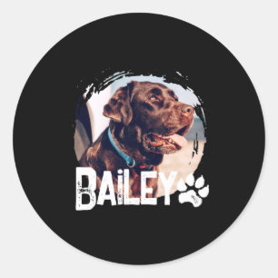 Pets Simple Modern Cool Nge Name And Photo Classic Round Sticker