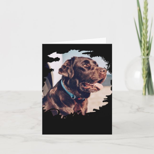 Pets Simple Modern Cool Tygraphy Name And Photo  Card (Front)