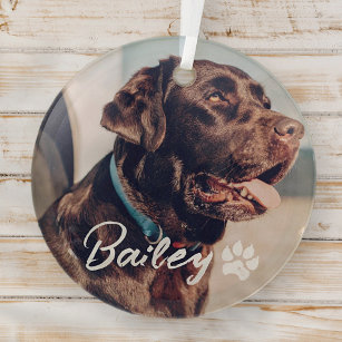 Pet's Simple Modern Cool Typography Name and Photo Glass Tree Decoration