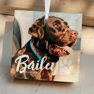 Pet's Simple Modern Cool Typography Name and Photo Glass Tree Decoration