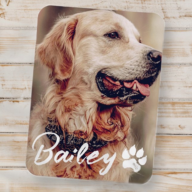 Pet's Simple Modern Cool Typography Name and Photo Magnet (Creator Uploaded)