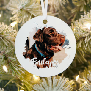Pet's Simple Modern Cool Typography Name and Photo Metal Tree Decoration