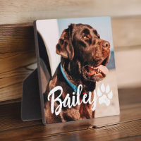 Pet's Simple Modern Cool Typography Name and Photo