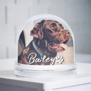 Pet's Simple Modern Cool Typography Name and Photo Snowglobe