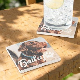 Pet's Simple Modern Cool Typography Name and Photo Stone Coaster