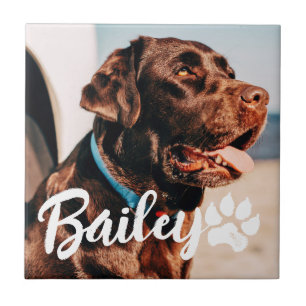 Pet's Simple Modern Cool Typography Name and Photo Tile
