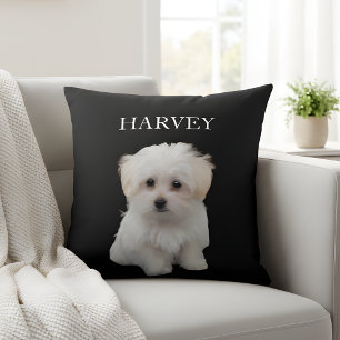 Pet's Simple Modern Elegant Chic Name and Photo Cushion