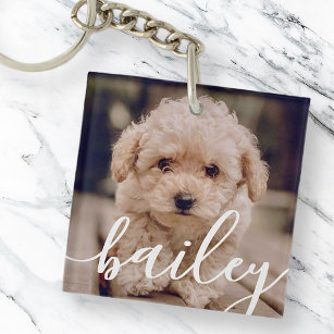 Pet's Simple Modern Elegant Chic Name and Photo Key Ring