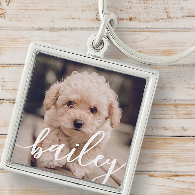 Pet's Simple Modern Elegant Chic Name and Photo Key Ring (Creator Uploaded)