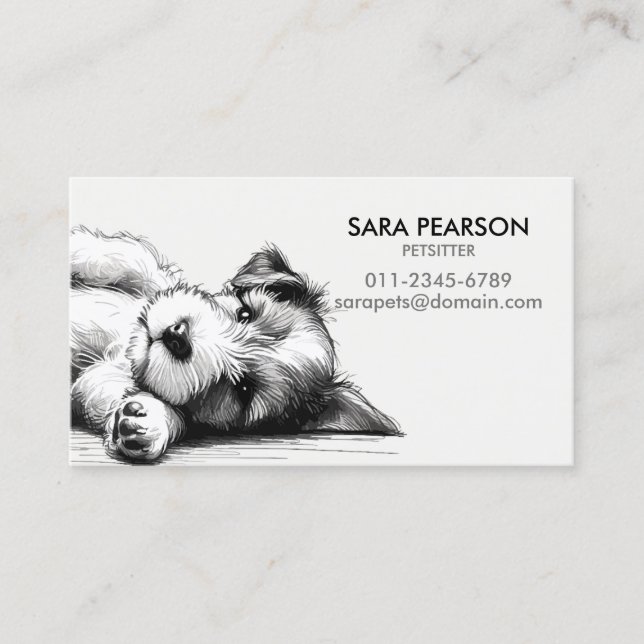 Petsitter Pet Minder Animals Dogs Business Card (Front)