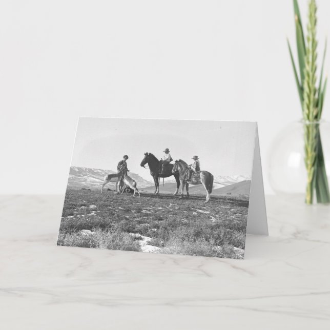 Petting Antelopes. Card (Front)