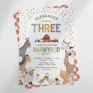 Petting Zoo 3rd Birthday Party Invitation