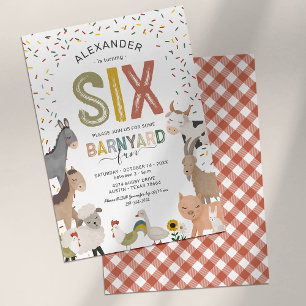 Petting Zoo 6th Birthday Party Invitation